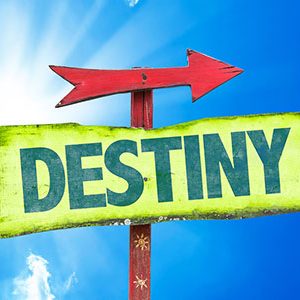 Destiny Revealed Package