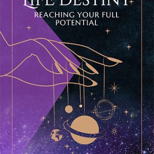Life Destiny